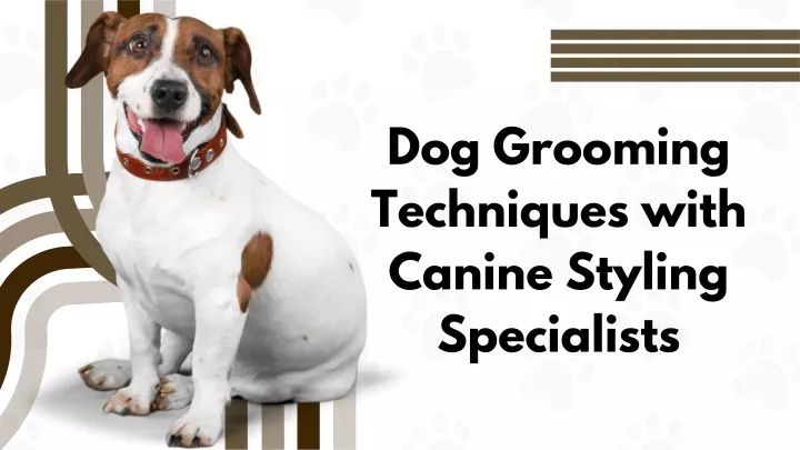 dog grooming techniques with canine styling