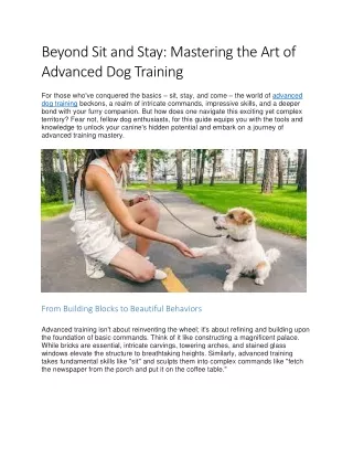 Beyond Sit and Stay :Mastering the Art of Advanced Dog Training