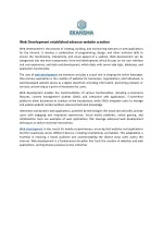 Web Development established advance website creation - slide 1