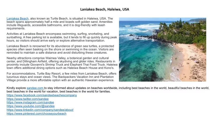 laniakea beach haleiwa usa