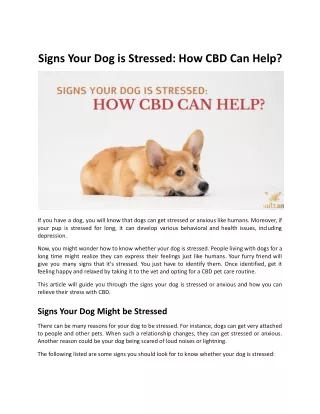 Signs Your Dog is Stressed: How CBD Can Help?