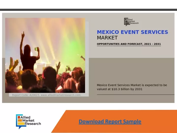 download report sample