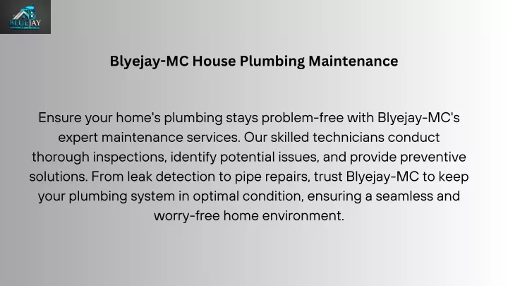 blyejay mc house plumbing maintenance