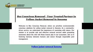Bee Conscious Removal - Your Trusted Partner in Yellow Jacket Removal in Sonoma
