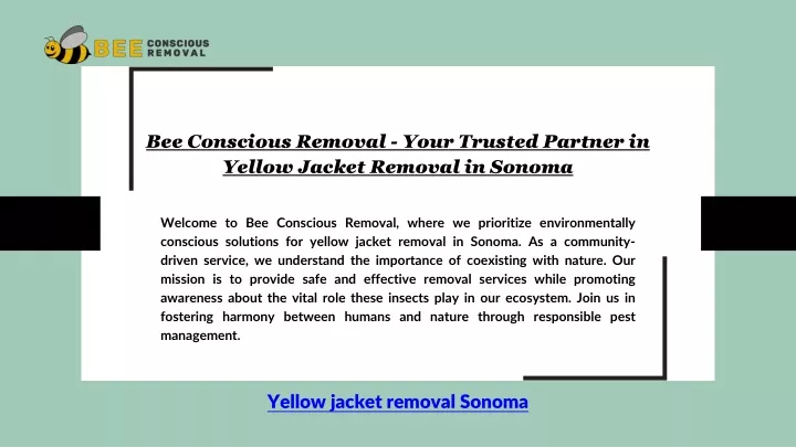 bee conscious removal your trusted partner