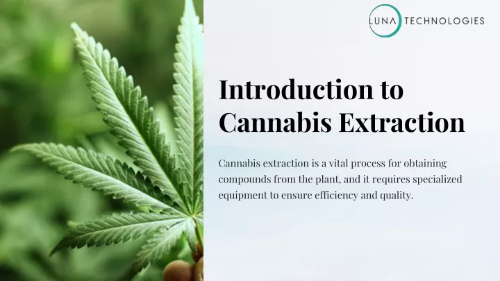 introduction to cannabis extraction