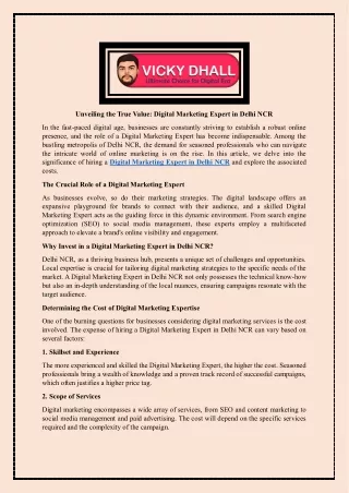 Unveiling the True Value - Digital Marketing Expert in Delhi NCR