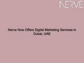 Nerve Now Offers Digital Marketing Services in Dubai, UAE