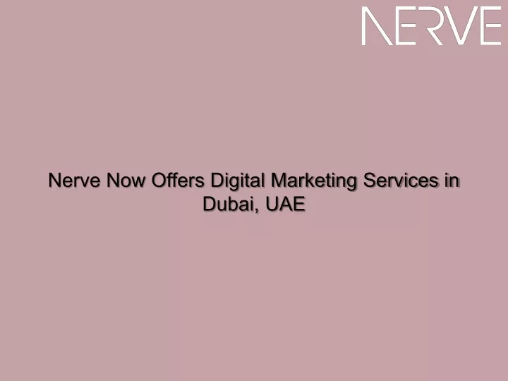 nerve now offers digital marketing services