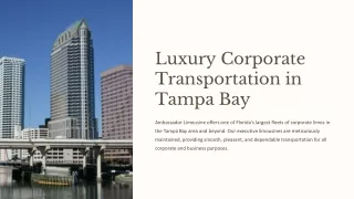 Limo Corporate Transport Tampa