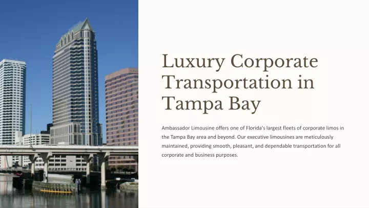 luxury corporate transportation in tampa bay