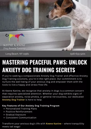 Mastering Peaceful Paws: Unlock Anxiety Dog Training Secrets