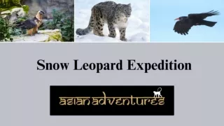 Snow Leopard Expedition Tours | Bird watching In Leh Ladakh