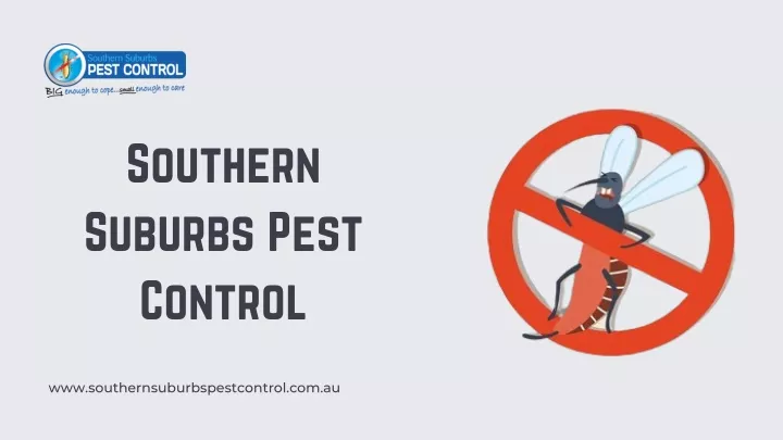 southern suburbs pest control