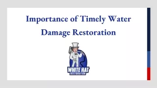 Importance of Timely Water Damage Restoration