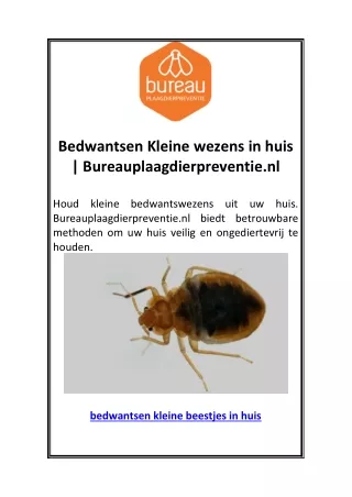 Bedwantsen Kleine wezens in huis | Bureauplaagdierpreventie.nl