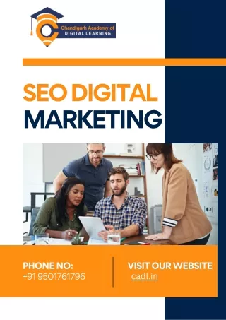 SEO digital marketing course In Zirakpur