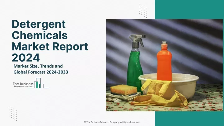 detergent chemicals market report 2024