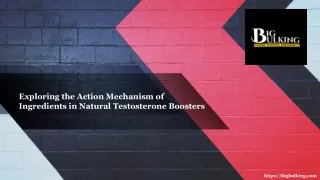 Exploring the Action Mechanism of Ingredients in Natural Testosterone Boosters