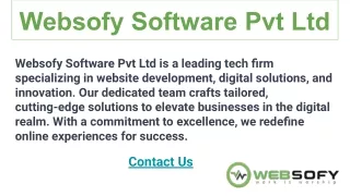 Best Website Development Company In Lucknow - Websofy Software Pvt Ltd