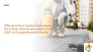 Effective Pest Control Solutions for a Pest-Free Environment in the UAE