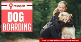 Experience Exceptional Dog Boarding with Pawland: Your Dog's Home Away from Home