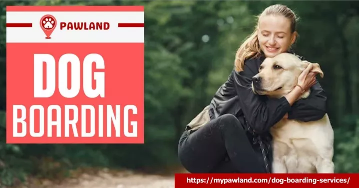 PPT - Experience Exceptional Dog Boarding with Pawland: Your Dog's Home ...