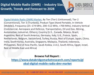 digital mobile radio dmr industry size growth
