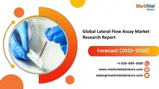 global lateral flow assay market research report