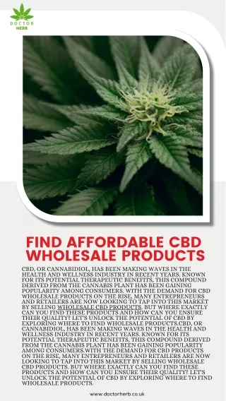 Find Affordable CBD Wholesale Products