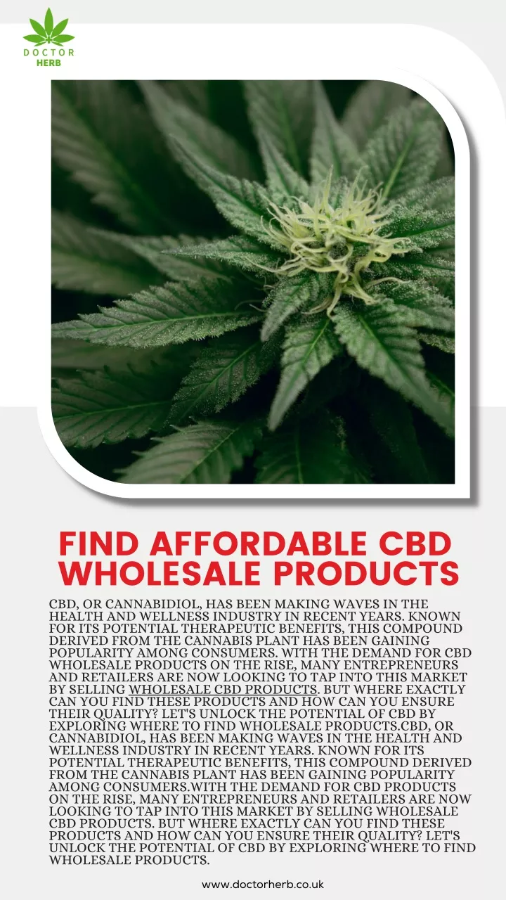 find affordable cbd wholesale products