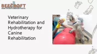 Veterinary Rehabilitation and Hydrotherapy for Canine Rehabilitation, Physiotherapy, and lameness in dogs