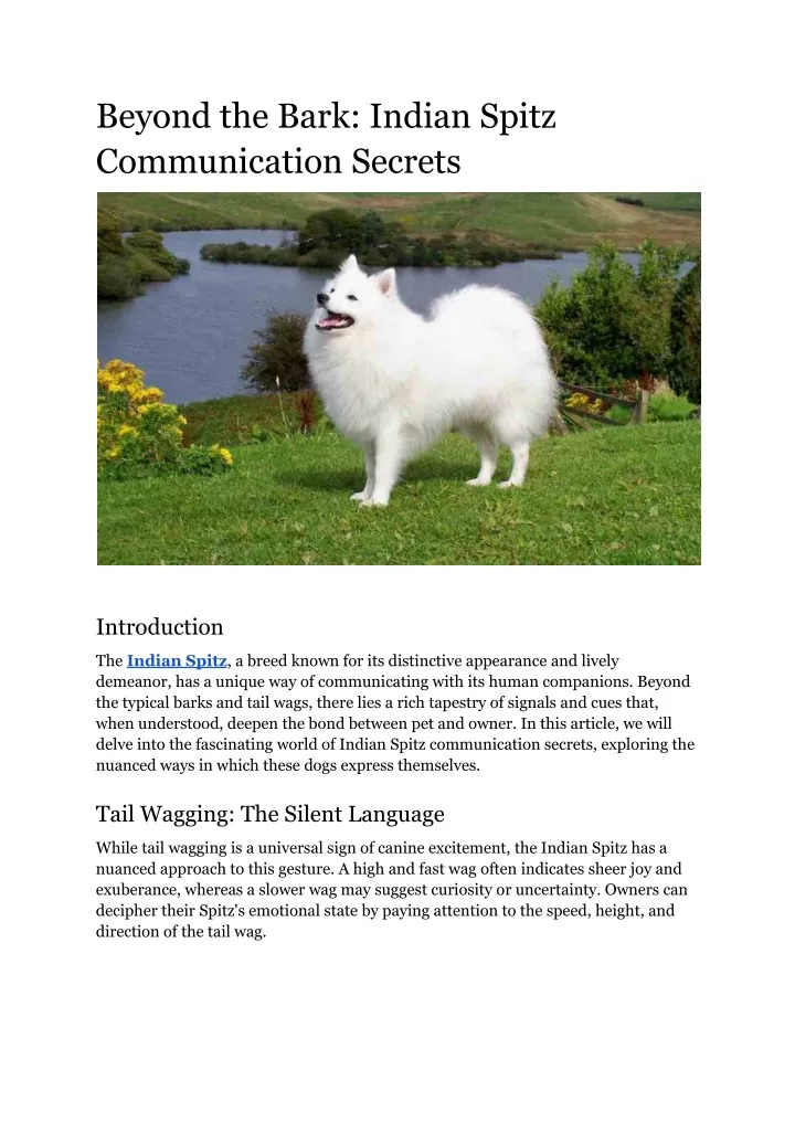 beyond the bark indian spitz communication secrets