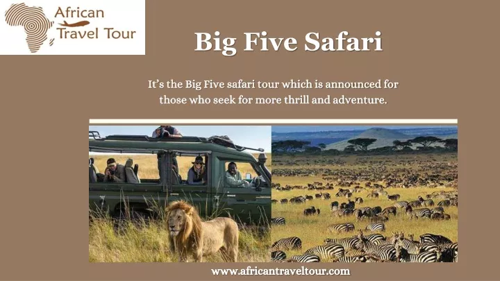 big five safari