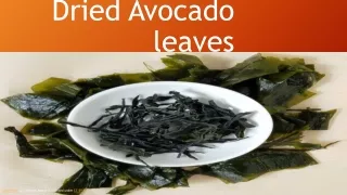 Dried Avocado leaves ppt