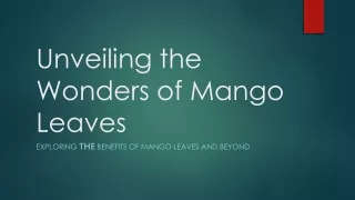 Unveiling the Wonders of Mango Leaves