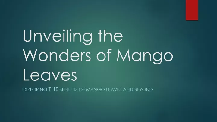 unveiling the wonders of mango leaves