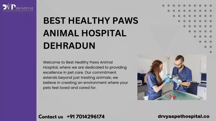 best healthy paws animal hospital dehradun