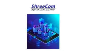 Shreecom InfoTech-Banking & custom built software Service Provider