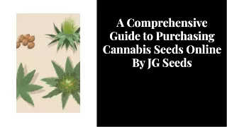 A Comprehensive Guide to Purchasing Cannabis Seeds Online By JG Seeds