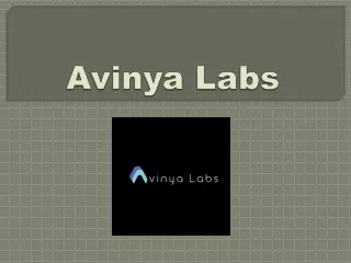 Avinya Labs: Social Media Marketing and Google Ads Agency