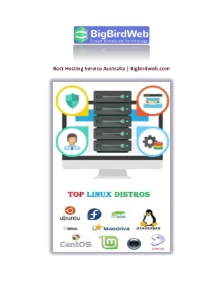 Best Hosting Service Australia | Bigbirdweb.com