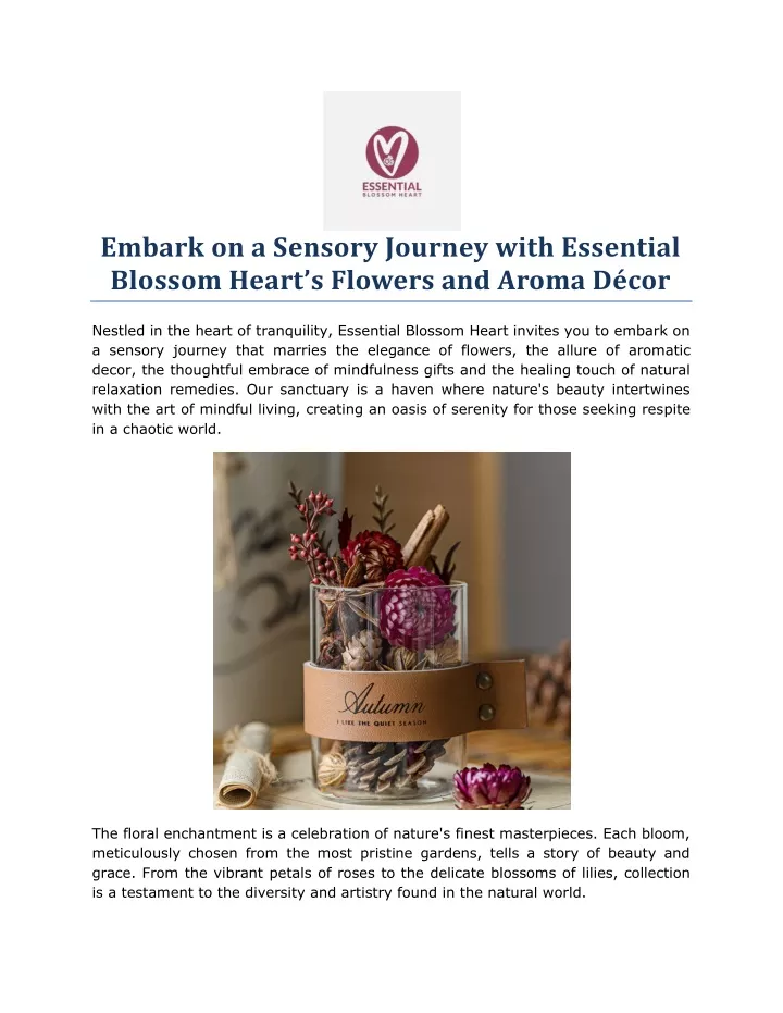 embark on a sensory journey with essential