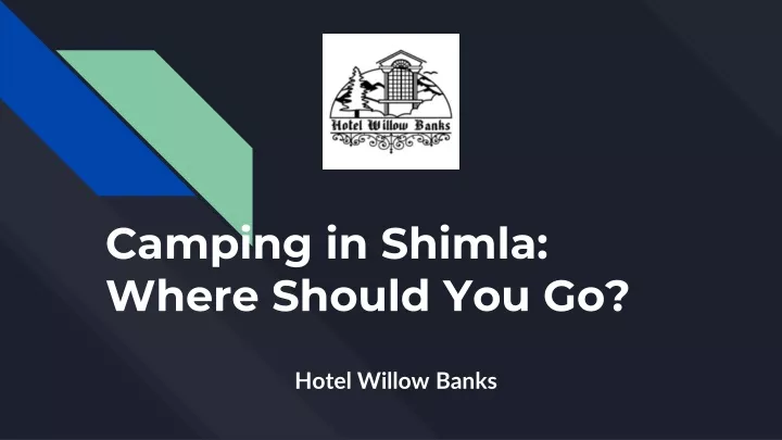 camping in shimla where should you go