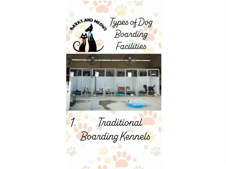 PPT Types of Dog Boarding Facilities PowerPoint Presentation, free