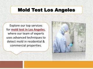 Mold Test Los Angeles