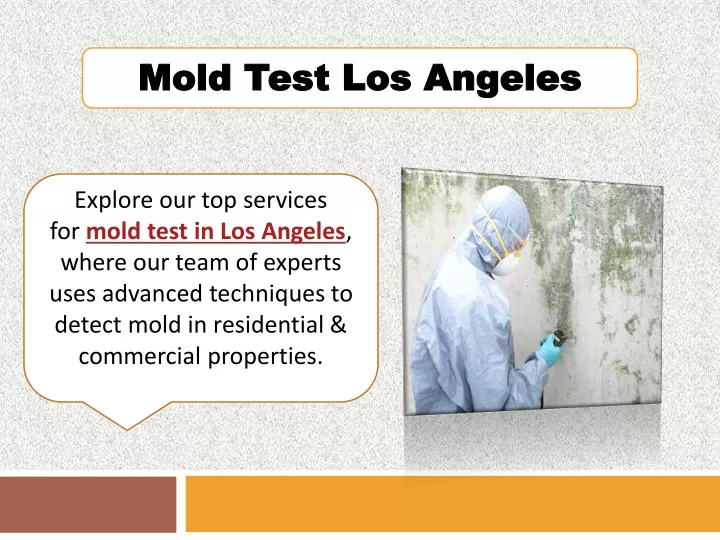 mold test los angeles mold test los angeles
