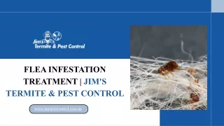 Flea Infestation Treatment  Jim's Termite & Pest Control