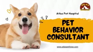 Pet Behavior Consultant - Atlas Pet Hospital
