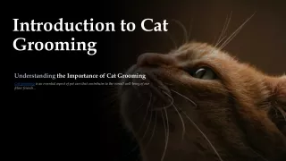 Introduction to Cat Grooming: Understanding the Importance of Cat Grooming